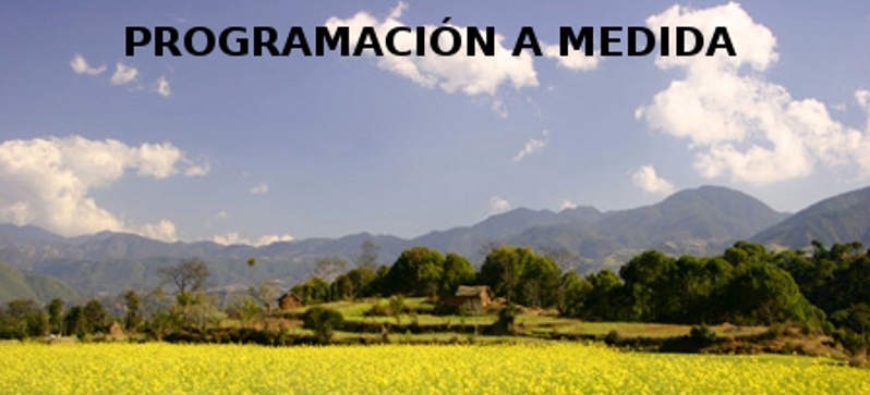PROGRAMACIÓN A MEDIDA.